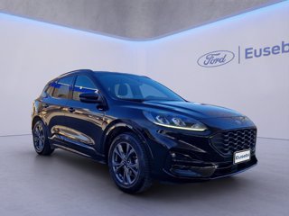 FORD Kuga 1.5 EcoBoost 150 CV 2WD ST-Line