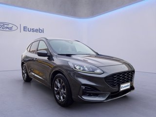 FORD Kuga 1.5 EcoBlue 120 CV 2WD ST-Line
