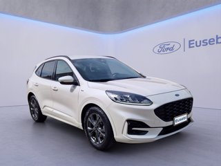 FORD Kuga 1.5 EcoBlue 120 CV 2WD ST-Line