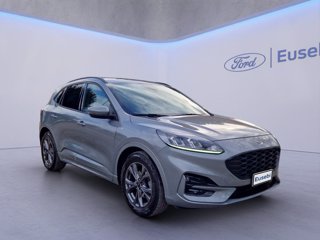 FORD Kuga 1.5 EcoBlue 120 CV 2WD ST-Line