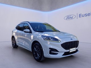 FORD Kuga 2.5 Plug In Hybrid 225 CV CVT 2WD ST-Line X
