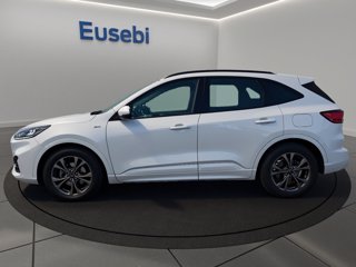 FORD Kuga 1.5 EcoBlue 120 CV 2WD ST-Line