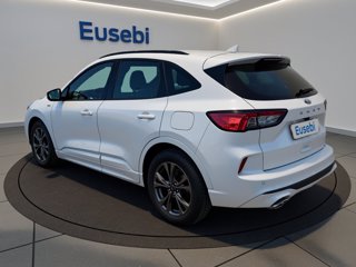 FORD Kuga 1.5 EcoBlue 120 CV 2WD ST-Line
