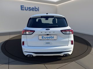 FORD Kuga 1.5 EcoBlue 120 CV 2WD ST-Line