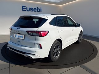 FORD Kuga 1.5 EcoBlue 120 CV 2WD ST-Line