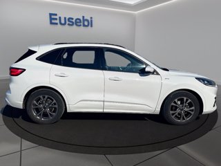 FORD Kuga 1.5 EcoBlue 120 CV 2WD ST-Line