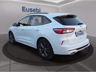 FORD Kuga 1.5 EcoBlue 120 CV 2WD ST-Line