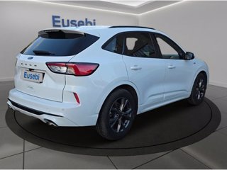 FORD Kuga 1.5 EcoBlue 120 CV 2WD ST-Line