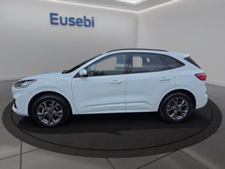 FORD Kuga 2.5 Plug In Hybrid 225 CV CVT 2WD ST-Line X