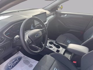 FORD Focus 1.5 EcoBlue 115 CV automatico 5p. Active