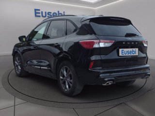 FORD Kuga 1.5 EcoBlue 120 CV 2WD ST-Line