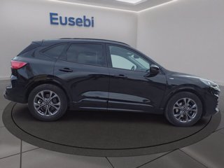 FORD Kuga 1.5 EcoBlue 120 CV 2WD ST-Line