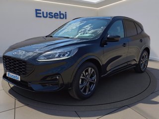 FORD Kuga 1.5 EcoBoost 150 CV 2WD ST-Line