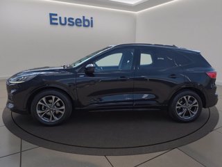 FORD Kuga 1.5 EcoBoost 150 CV 2WD ST-Line