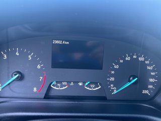 FORD Fiesta Active 1.0 Ecoboost Hybrid 125 CV 5 porte