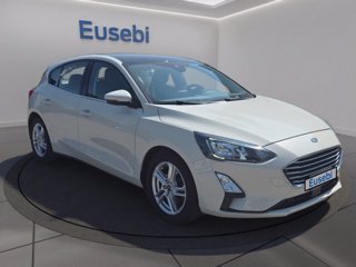 FORD Focus 1.5 EcoBlue 120 CV 5p. Business