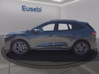 FORD Kuga 1.5 EcoBlue 120 CV 2WD ST-Line