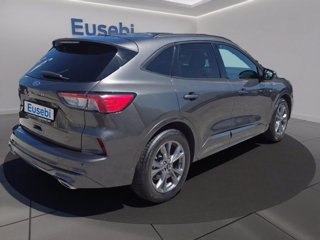 FORD Kuga 1.5 EcoBlue 120 CV 2WD ST-Line
