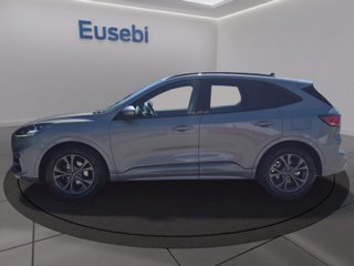 FORD Kuga 2.0 EcoBlue 120CV aut. 2WD ST-Line X