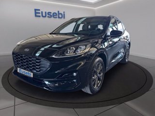 FORD Kuga 2.5 Plug In Hybrid 225 CV CVT 2WD ST-Line X