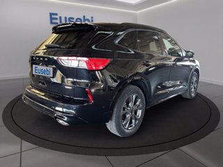 FORD Kuga 2.5 Plug In Hybrid 225 CV CVT 2WD ST-Line X